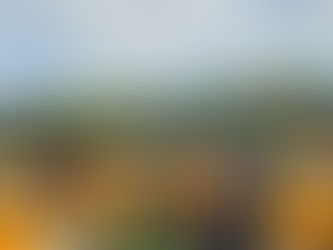 10月26日 おもてなし大清掃