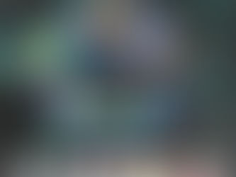 Thank You for the 2025 World Championships