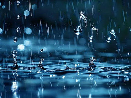 19/01/2025 race meeting cancelled.