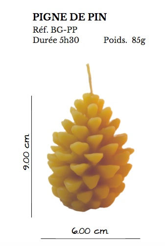 Thumbnail: Pine cone