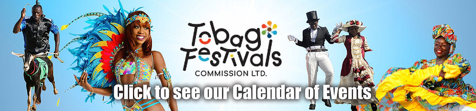 Tobago Festival Plumeria Banner Design.jpg