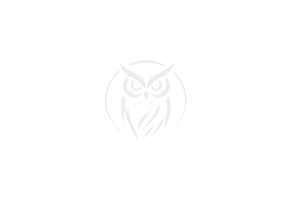 Fond hibou boutique (1).png