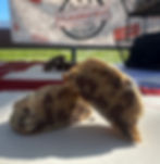 Code name: The Prodigy