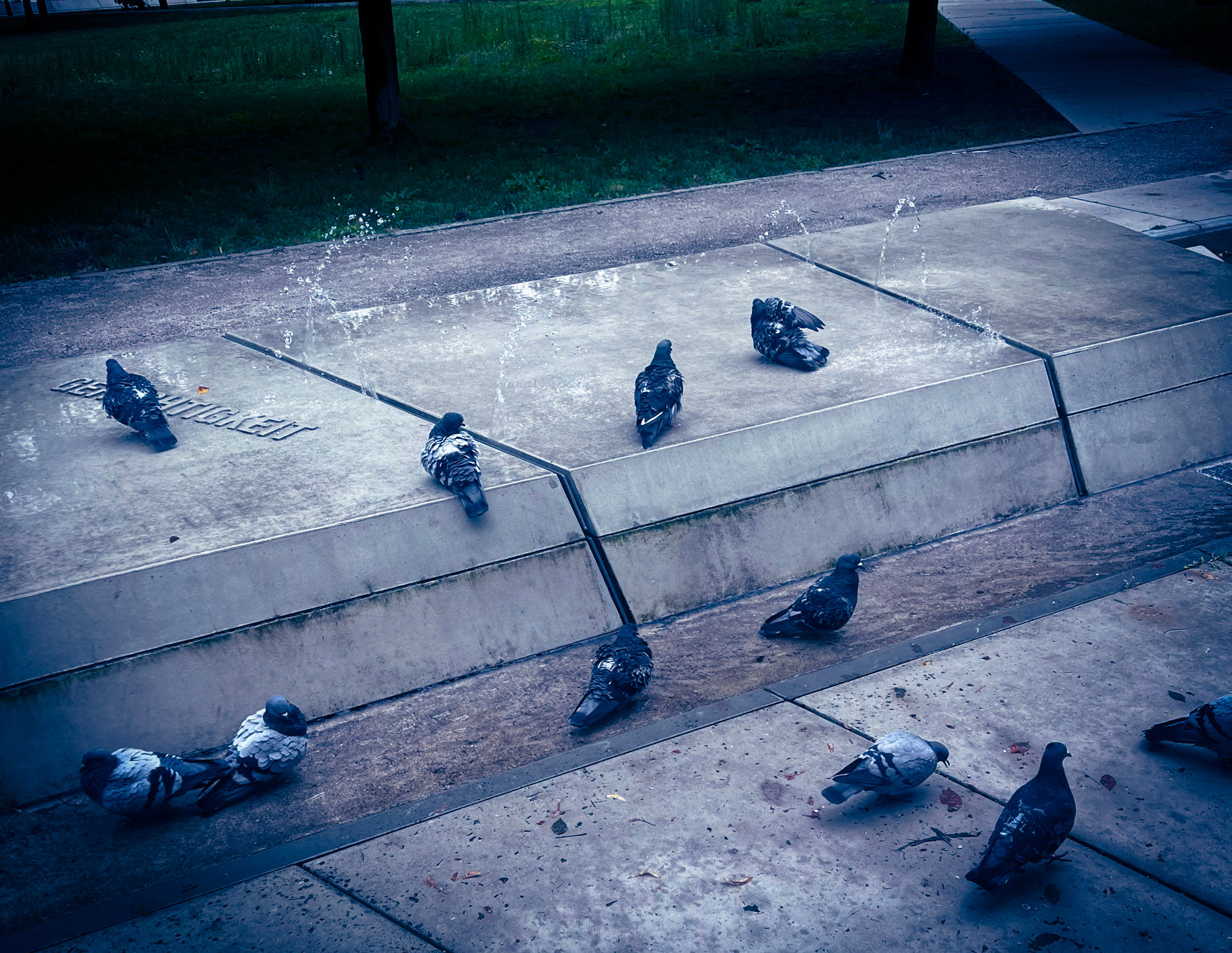 Sidewalk Drift — fine art photograph by Nourhan Eltoukhi