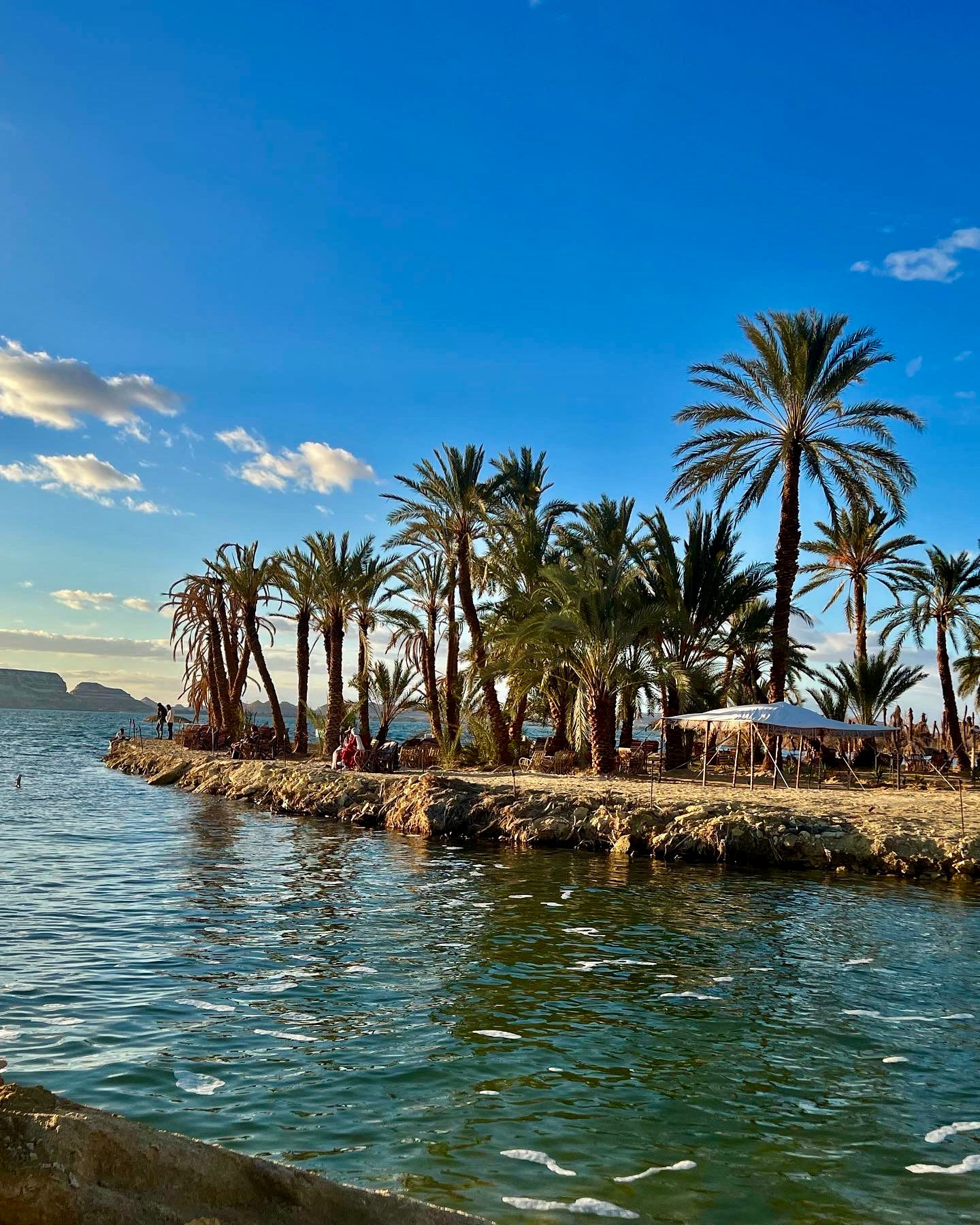 Palm Island  — digital artwork by Nourhan Eltoukhi