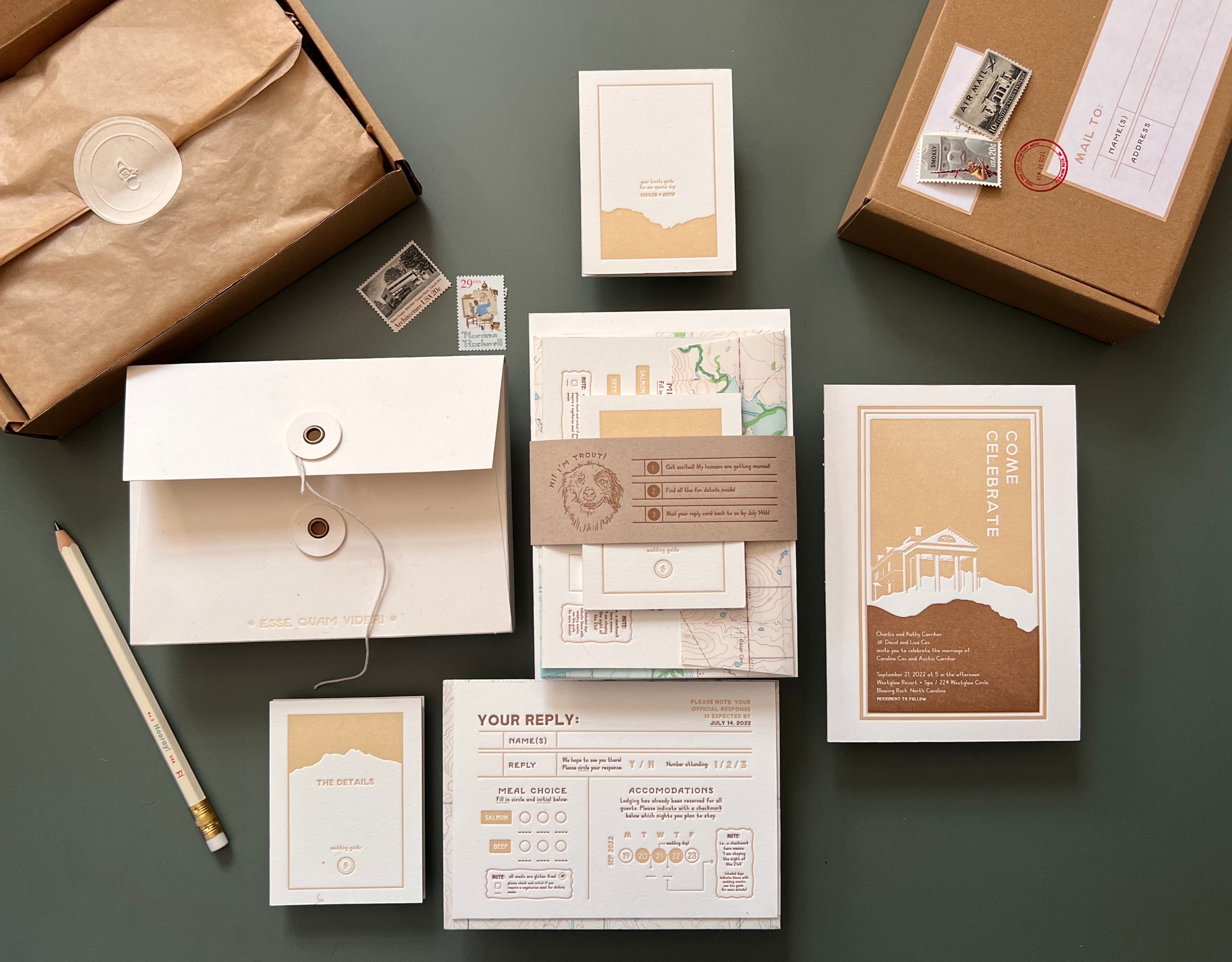 IMG_1261 2_edited_edited.jpg