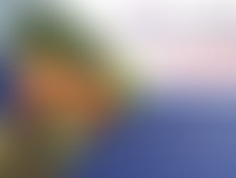 Your Chance to Be Part of EMYG24: Volunteer Today