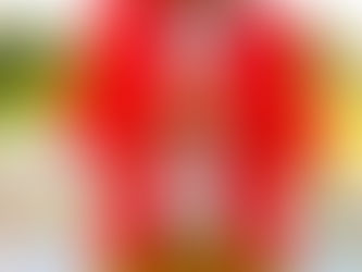 CLASSIFIED INDEPENDENT