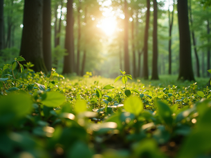 The Importance of Sustainable Living in Today's World