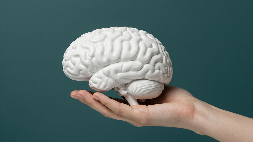 Mano sosteniendo el cerebro