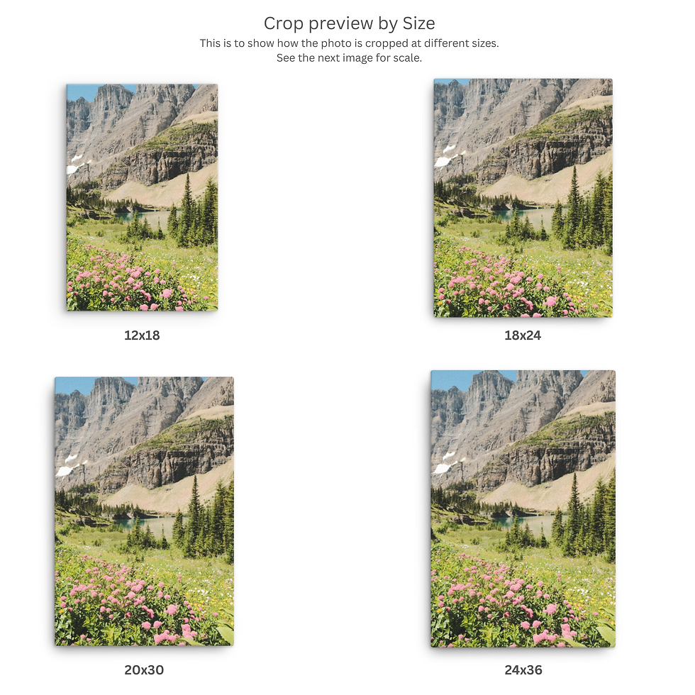 Thumbnail: High Meadow