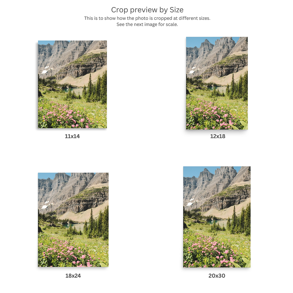 Thumbnail: High Meadow