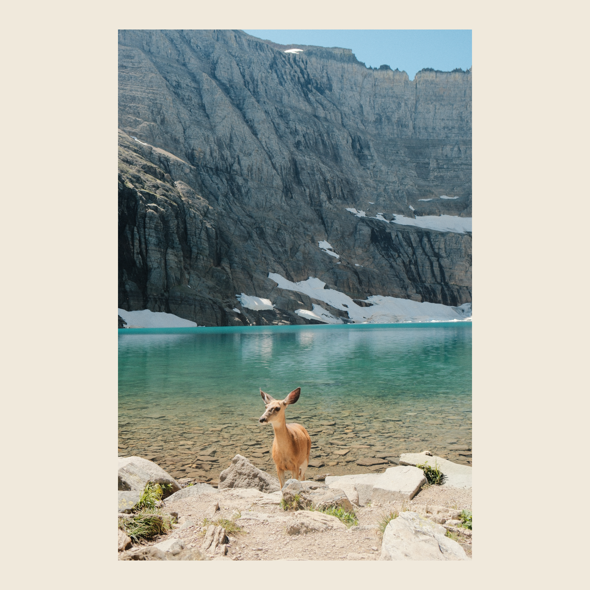 At the Lake’s Edge