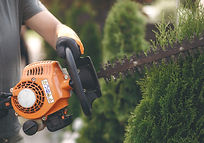 Trimming Shrubs_edited.jpg