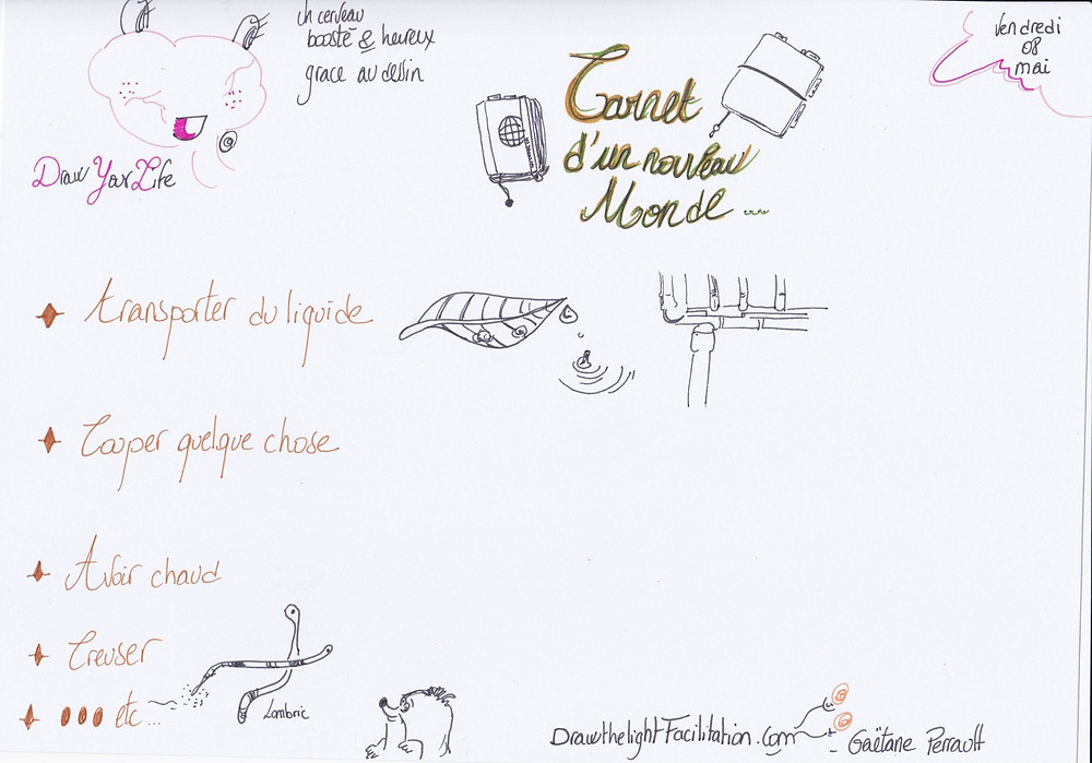 Carnet d'un nouveau monde - DrawthelightFacilitation - Gaëtane Perrault