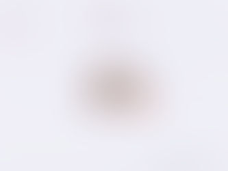 "La fantaisie est un perpétuel  printemps"