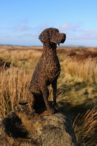 Wire dog sculpture created by Emma Yeoman, North Yorkshire UK artist. Wire Sculpture of a German Shorthaired Pointer dog breed, photographed on the North York Moors during golden hour.