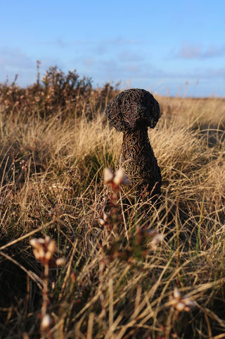 Wire dog sculpture created by Emma Yeoman, North Yorkshire UK artist. Wire Sculpture of a German Shorthaired Pointer dog breed, photographed on the North York Moors during golden hour.