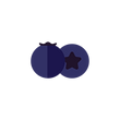 blueberry.png