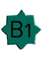 b1 e.jpeg