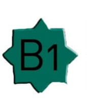 b1 e.jpeg