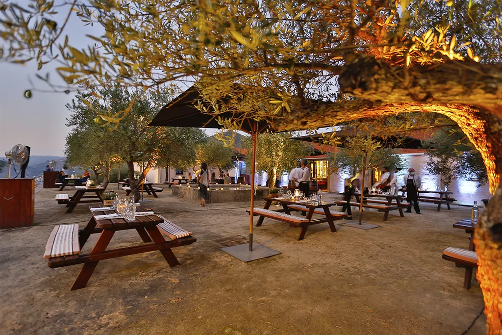 portugal-small-group-wine-tour-wine-tasting-quinta-do-seixo.webp