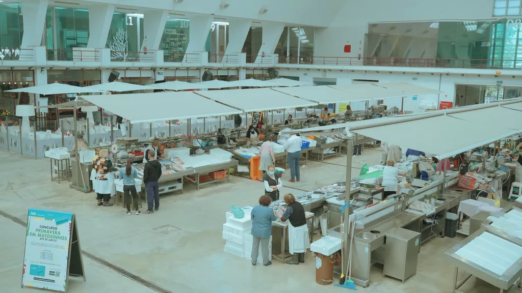 portugal-small-group-travel-tour-fish-market-tour.webp