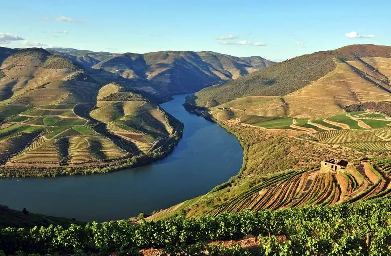 portugal-small-group-wine-tour-douro-river-valley.webp
