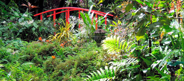weddings-jade-mountain-st-lucia-botanical-gardens.jpeg