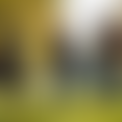 Réussites d'étudiants en mobilité internationale