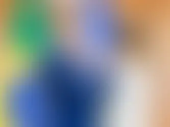 Oposição pede explicações sobre acordos bilaterais com a França