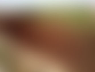 Pedidos de recuperação judicial no agronegócio disparam em 2023