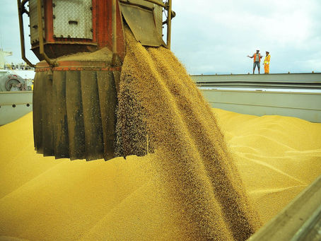 China já é responsável por 35% das exportações do agro brasileiro