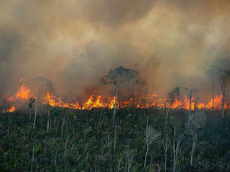 Ipam aponta aumento de 433% de queimadas na Amazônia Legal