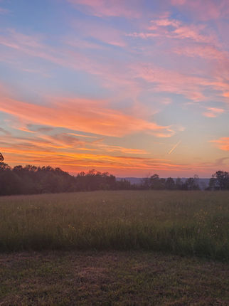 The sunsets brings stunning colours across the sky