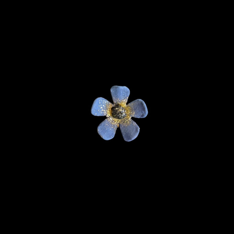 Thumbnail: Hand-painted Masonic Forget-Me-Knot Pin With Gold Glitters