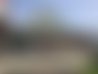 継続は本当に力になるね