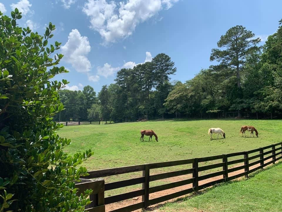 Chestatee Wildlife Preserve and Zoo