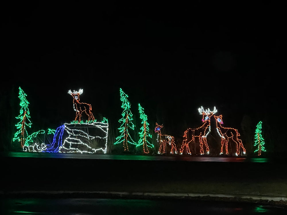 Holiday Lights at Veterans Park