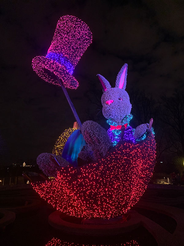 Atlanta Botanical Gardens Garden Lights Holiday Lights