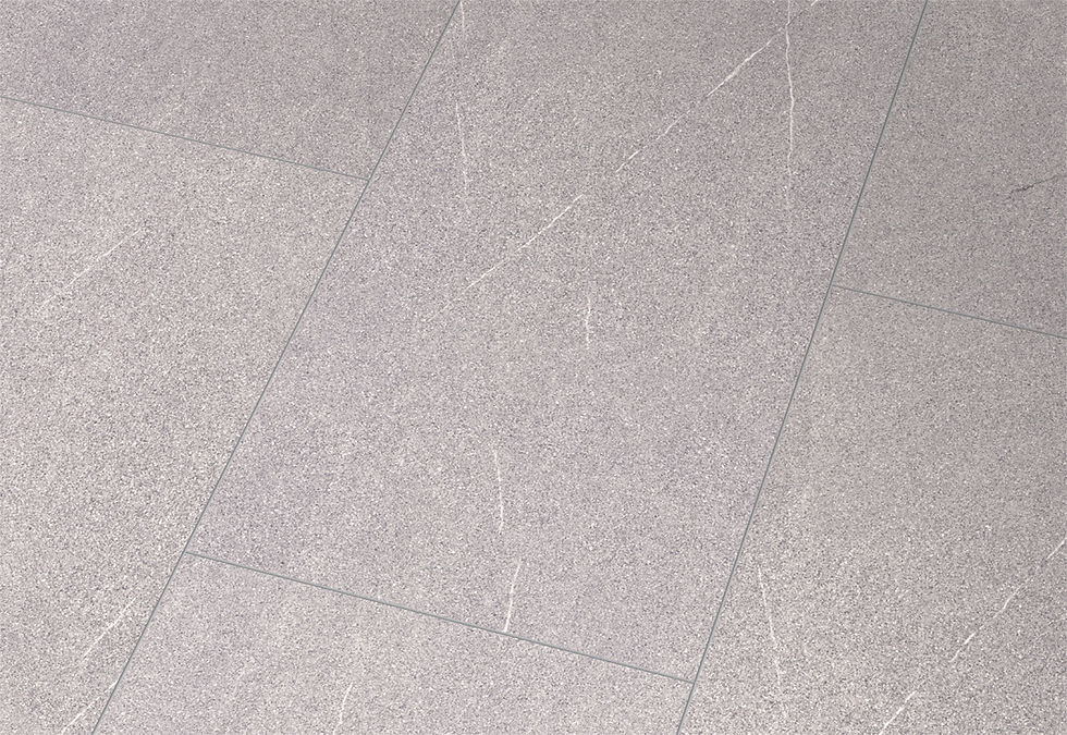 D8434 Piasentina