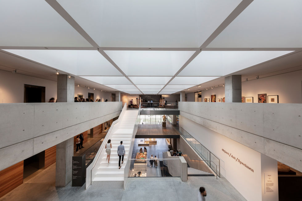 Nicholson Collection display, Chau Chak Wing Museum