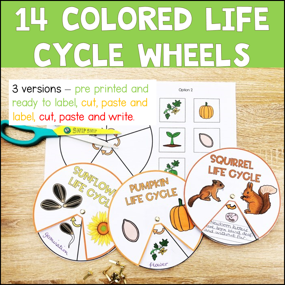 Thumbnail: Life Cycle Wheels