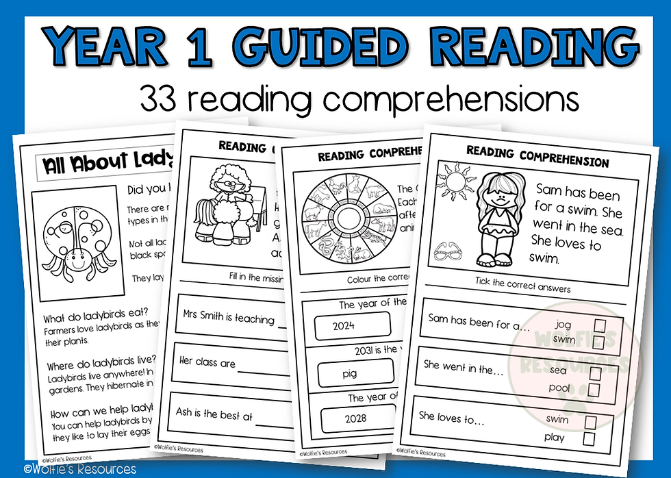 Thumbnail: Guided Reading Activities Year 1 UK