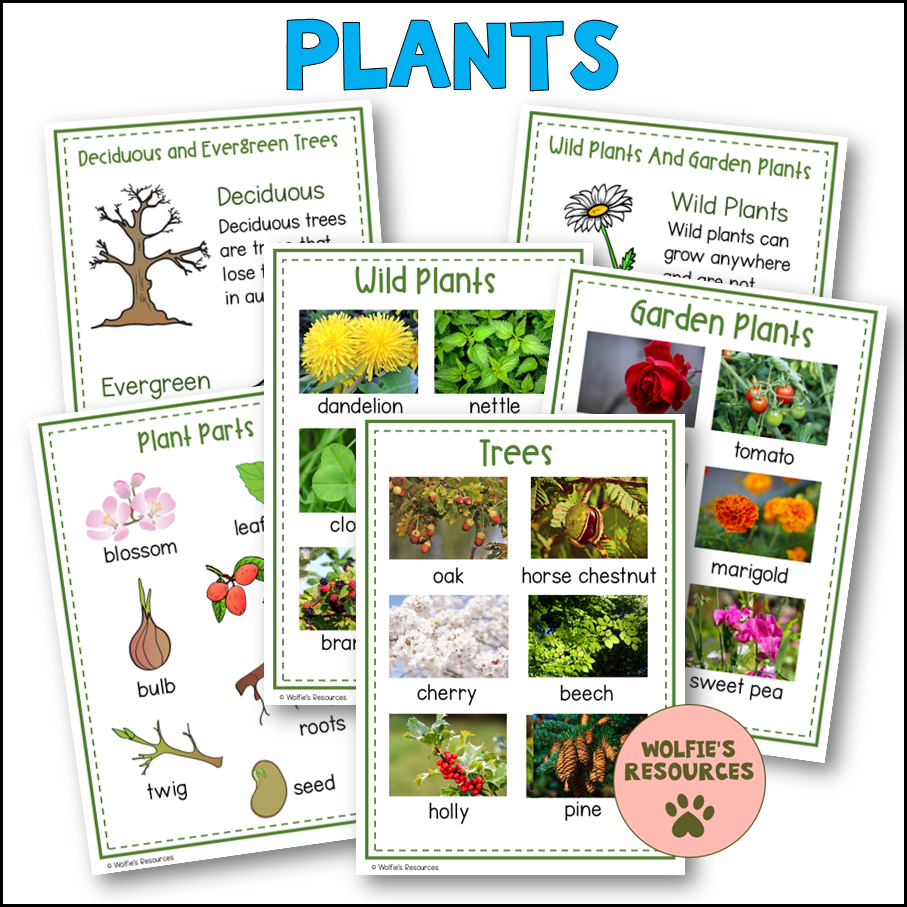 Thumbnail: Science Display Posters Year One