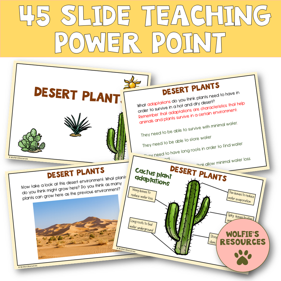 Thumbnail: Deserts KS2