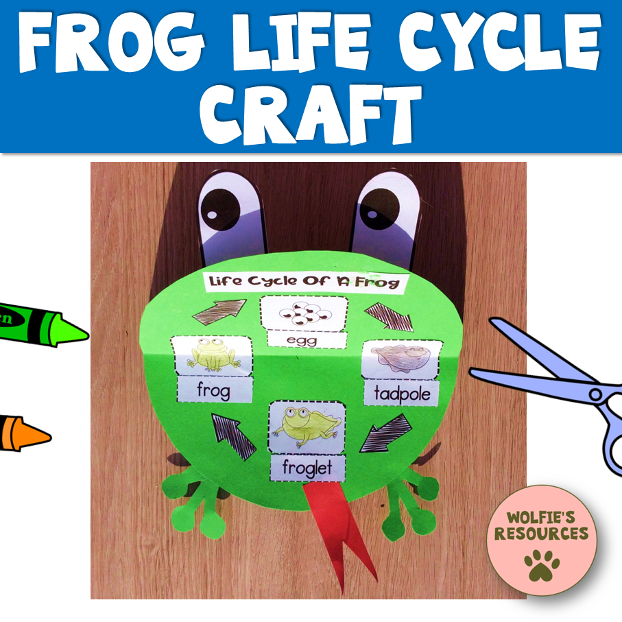 Thumbnail: Pond Life Activities KS1