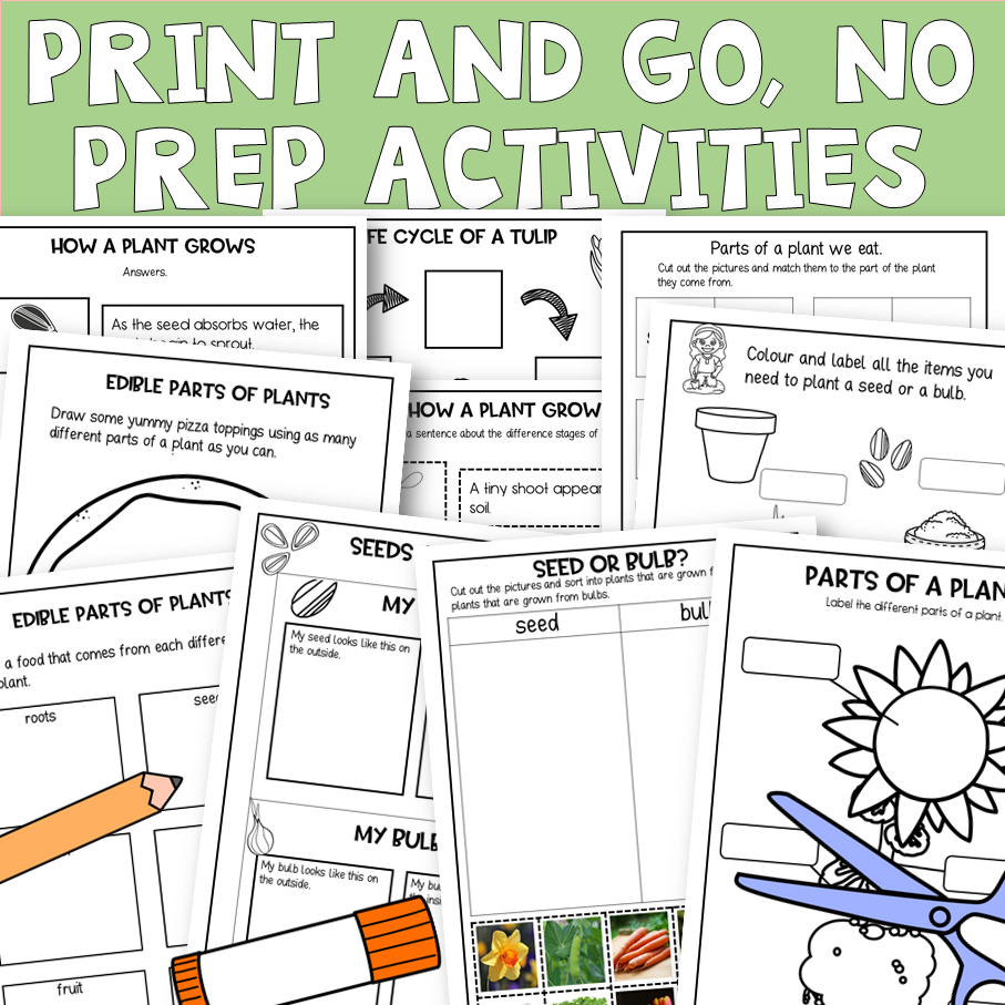 Thumbnail: Plants Power Point And Activities Year 2