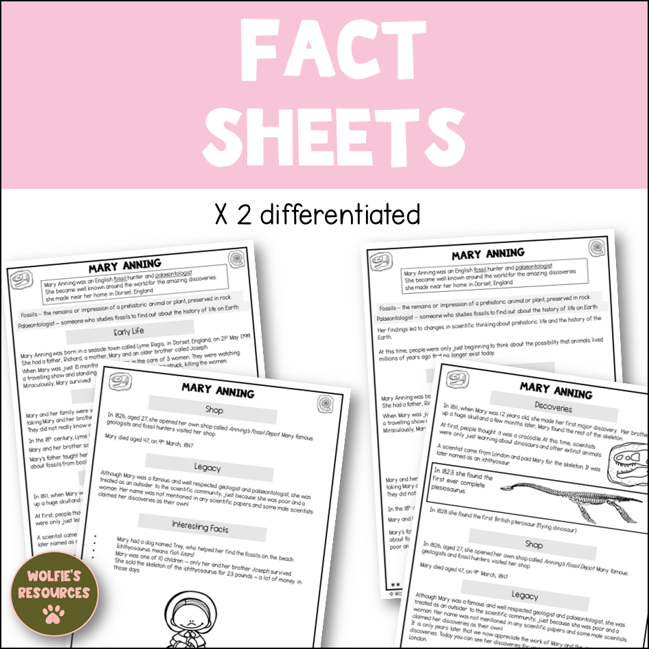 Thumbnail: Mary Anning KS2 Activities And Power Point