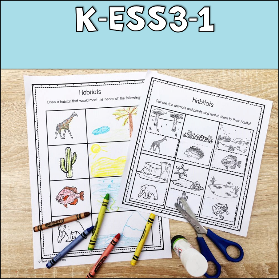 Thumbnail: Kindergarten End Of Year Science Review Worksheets | Homeschool